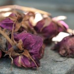 dead flowers