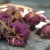 dead flowers